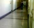 videos de scivoloni