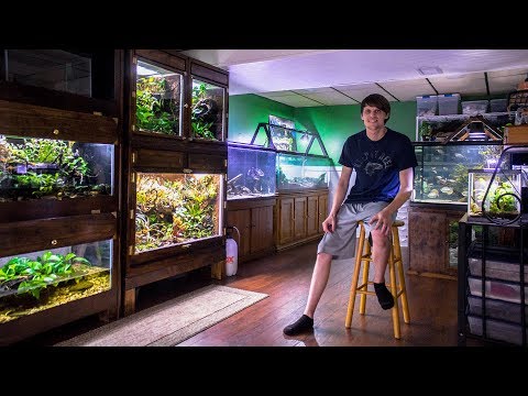 YouTube reptile video