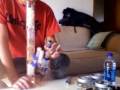Breakfast Bubble Hash, Bowls, and Kief Breakfast Bubble Hash, Bowls, and Kief