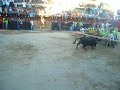Capeia Forcalhos Capeia Forcalhos