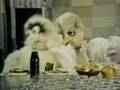 PSA Abominable Snowman - balancing your meal