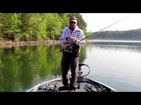 Reading Bass Behavior