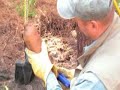 Saving History for the Future. Civil war relic hunting metal detecting detector buttons union confederate bottles huts military digging privy history excavate