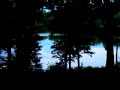 The call of the Loon on Flying Pond, Maine