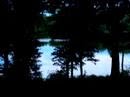 Loon Call