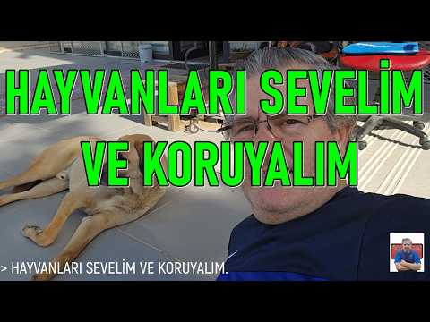 Video küçük resmi