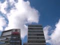 まったナシ