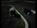 cart racing 1
