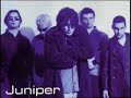 Damien Rice (Juniper) - Little Sister (Rare)