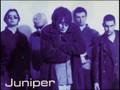 Damien Rice (Juniper) - Little Sister (Rare)