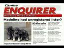 055: Media Matters with Madeline & Murphy