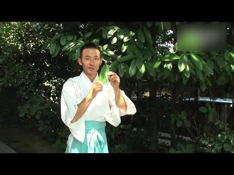 川越八幡宮 - 地域情報動画サイト　街ログ