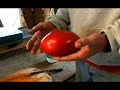 All About Heirloom Tomatoes : How to Save Heirloom Tomato Seeds