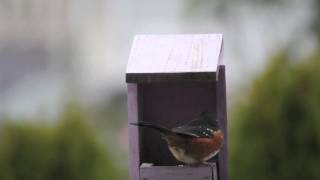 Find peace in nature