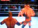 BTW Wrestlmania 3