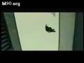 parkour-persecucion