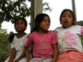 videos de MVI 2594