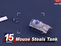 Mouse Tank