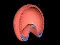 ??????????3D?????????[800�600]