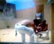 roda de capoeira vadiagem !