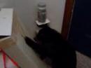 Ichabod