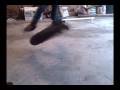videos de nollie tre