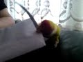 easy way to open your letter