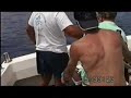 Marlin fishing Madeira Island
