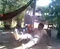 bolita.......de cochos