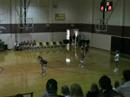 Alexa-Volleyball