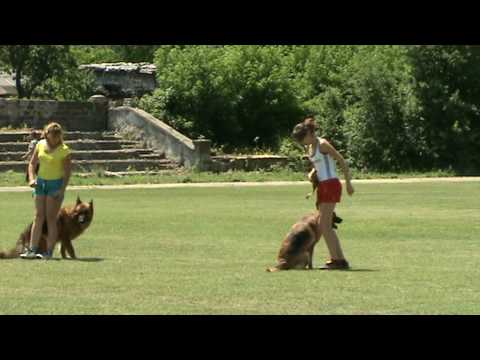 YouTube Трейлер