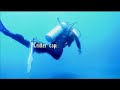 Indonesia Video