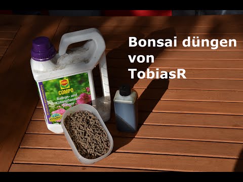 Bonsai richtig düngen [HD][DEUTSCH]