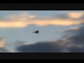 mirage 4000 sunset movie.wmv