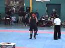 Mi primer campeonato de sanshou