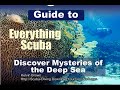 Guide