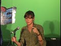 CAT POWER POISED FOR 2007 BREAKOUT CAT POWER POISED FOR 2007 BREAKOUT