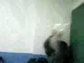los jovenes de idat