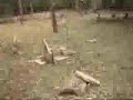 Aparição no Cemitério - Atormentador Aparição no Cemitério - Atormentador