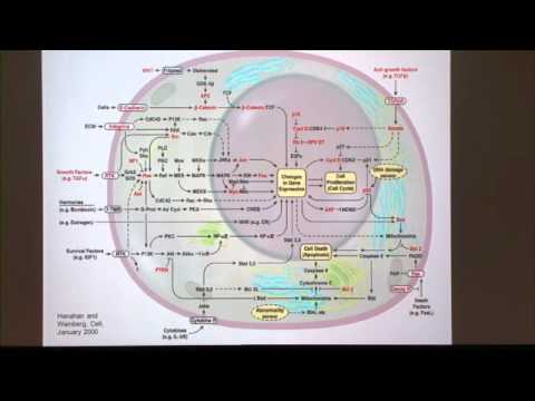Welcome – Overview of Melanoma