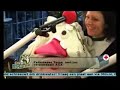 3FM Serious Request Fabeltjeskrant