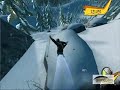 Freakout extrem freeride