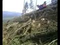 Click here to watch this video Logging on Granstrom Road Part 7