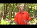 videos de Gardening Tips : How to Read a Fertilizer Bag
