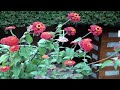 Nonstop Hindi songs 2012 latest romantic instrumental lyrics 2011 Bollywood subtitle Indian music HD