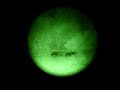 Wild Hogs with D-760 Night Vision Scope