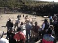 MOV02290
