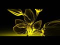 Neelix - Taxidriver Neelix - Taxidriver