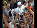 videos de Israel x Gaza 07 01 09