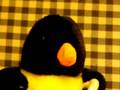 videos de Johannes und Martin Staffel 1 Folge 4: Die Buchmesse
